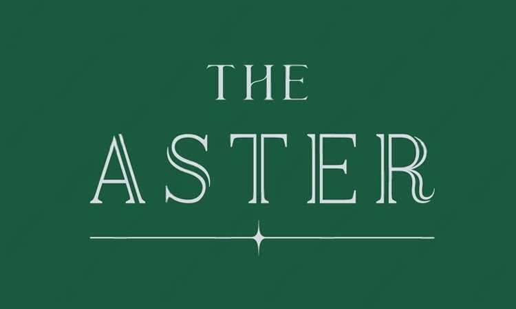 The Aster The Aster | 28跑馬地豪宅置業及投資地產平台